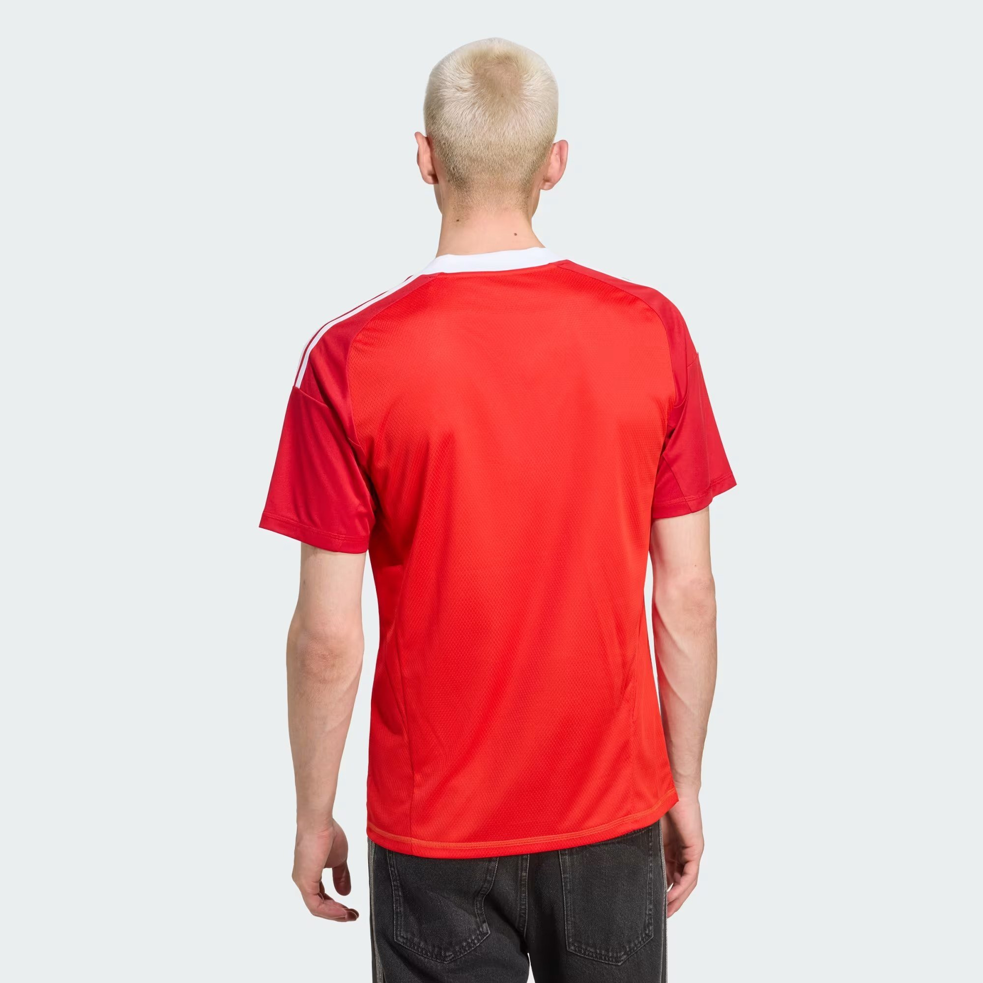 Camisa Goleiro Flamengo Adidas Reserva 2025 Vermelha JN9032