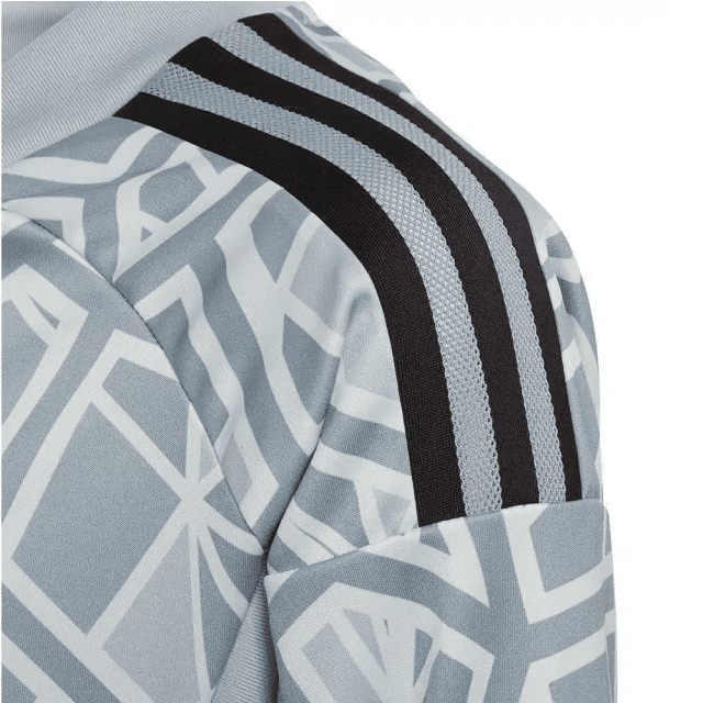 Camisa Adidas Condivo 22 Goleiro Infantil HB1646