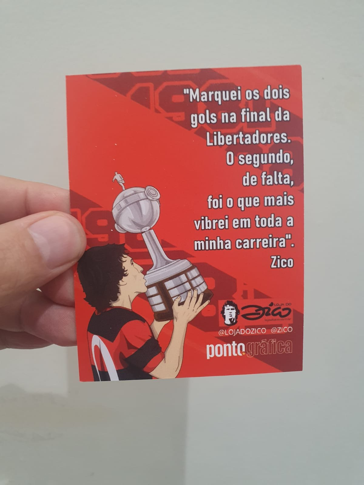 Kit 3 Cards Colecionáveis (Autógrafo Manual do Zico)