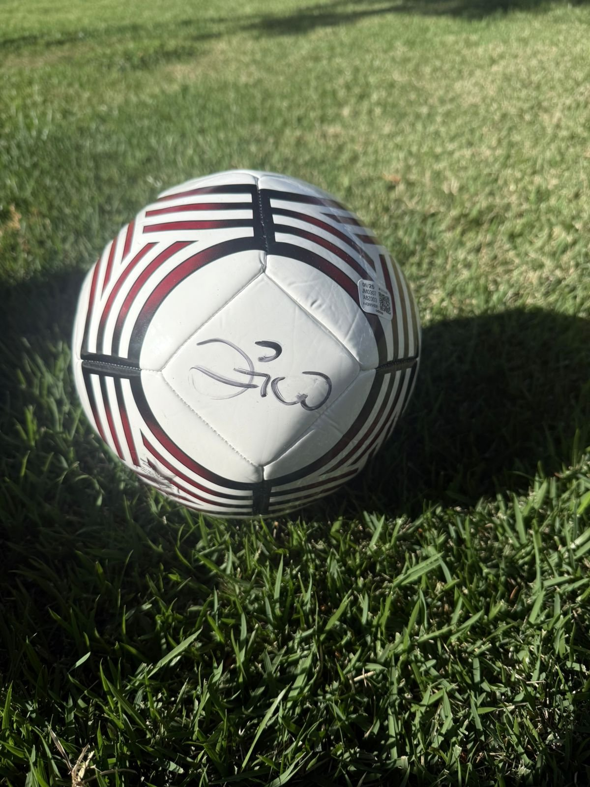 Bola Flamengo Adidas de Campo com Autógrafo Manual do Zico