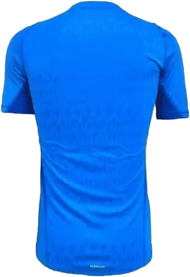 Camisa de Goleiro Original Flamengo Adidas III 2023/24.